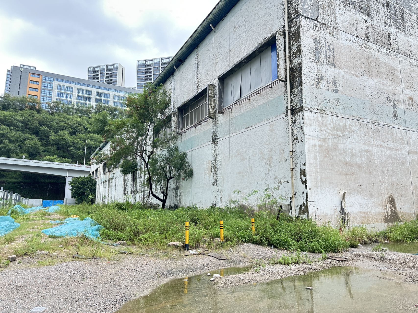羽毛球馆